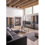Dieter Knoll KOMODA, antracit, barve hrasta | Shoptok.si