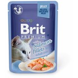 BRIT Premium by Nature Brit Premium Cat Delicate Fileti u želeu sa lososom 85 g kesica Cene