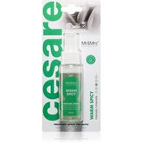 Mr & Mrs Fragrance Cesare Warm Spicy osvežilec zraka za v avto 50 ml Cene