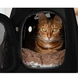 Purlov Transporter Torba za Pse 43x32x27 cm Slike