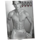 Real Cocks 2027 - erotični stenski koledar (10 kos) Cene
