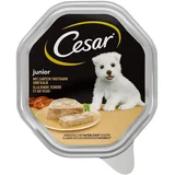 Classics Pašteta za Štence Junior sa Ćuretinom i Teletinom, 150g