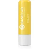 Dermocosmetics Famillias hidratantni balzam za usne 4 g
