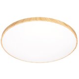 Candellux Lighting LED stropna svetilka Tens – | Shoptok.si