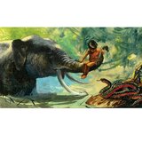 Diafilm Kipling: Mauglije, sin vukova | shoptok.hr