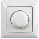 EXTEH Regulator rasvjete Visage (Bijele boje, Maksimalna priključna snaga: 1.000 W, IP20) | shoptok.hr