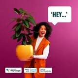Wiz LED pametna zunanja veriga 15 W – | Shoptok.si