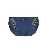 Arena muški kupaći men's swim briefs graphic