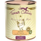Terra Canis Varčno pakiranje 12 x 800 g - Mix divjačina & piščanec