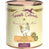 Varčno pakiranje Terra Canis 12 x 800 g - Mix divjačina & piščanec