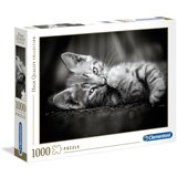 Clementoni Puzzle HQC Kitty ( CL39422 ) - 1.000 delova Cene