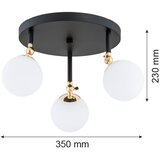  Argon 1436 - Plafonski luster za kupatilo LATINA 3xE14/40W/230V IP44 | Eponuda.com