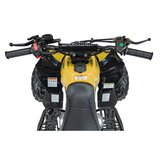 Ramiz Otroški štirikolesnik RENEGADE HIPERFECT 110CC rumena | Shoptok.si