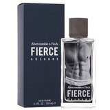 Abercrombie & Fitch fierce kolonjska voda 100 ml za muškarce Cijene