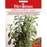 Dürr Samen Sladko zelišče stevia Cene