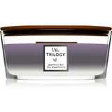 Trilogy Amethyst Sky dišeča svečka 610 g unisex