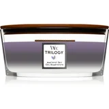 Trilogy Amethyst Sky mirisna svijeća 610 g
