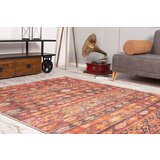 Conceptum Hypnose tepih 210x310cm Šareni | ePonuda.com