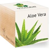 Feel Green ecocube "Exotics" - Aloe vera Cene