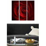 Wallity Set slika MDF231887680, 3 dijela | Eponuda.ba