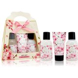 Accentra Essential Botanicals Gift Set poklon set za tijelo 3 kom Cijene
