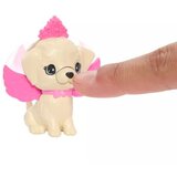 Barbie Barbie: Dotik čarovnije Pegazus | Shoptok.si