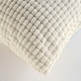 Douceur d intérieur Žametna okrasna blazina 45x45 cm Swing – | Shoptok.si