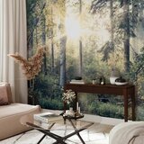 Foto tapeta - Tales of a Forest 294x210 Samoljepljiva | shoptok.hr