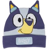 BLUEY HAT PUNTO APPLICATIONS | shoptok.hr