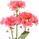 Atmosphera UMJETNO CVIJEĆE GERANIJA 69CM PES Slike