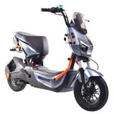 Capriolo Bicikl E-bike E2 RX20 sivi (292027-S) | Eponuda.com