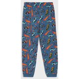Sinsay Dvodijelna pamučna pidžama Hot Wheels | shoptok.hr