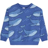 Lindex Sweater majica 'Whale' nebesko plava / svijetloplava / crna / bijela