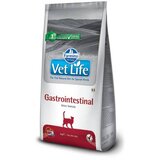 Vet Life Gastrointestinal 400g | Eponuda.com