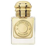 Parfem Goddess 30 ml parfumska voda za ženske | Shoptok.si