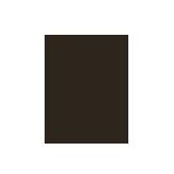 Inebrya Color boja za kosu svi tipovi kose 100 ml nijansa 6/00 Intense Dark Blonde unisex | shoptok.hr