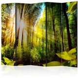  Paravan u 5 dijelova - Forest Hideout II [Room Dividers] 225x172 Cijene