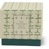 Paddywax Tulip Verbena & Lemongrass mirisna svijeća 155 g | shoptok.hr