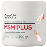 OSTROVIT msm plus 300g | ePonuda.com