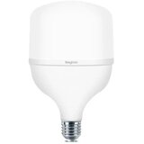 Braytron BRY ADVANCE 30W E27 T100 PLS 6500K LED SIJALICA Cene