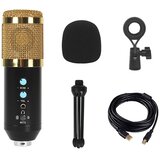 INF USB kondenzatorski mikrofon z glasnostjo, reverbom in redukcijo šuma, (5000292101) | Shoptok.si
