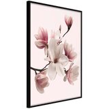  Poster - Blooming Magnolias I 20x30 Cijene