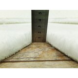 Conceptum Hypnose Tepih staza (80x120) Ellipse Daisy White | Eponuda.com