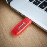 Intenso USB ključ 128GB Hi-Speed USB 2.0, Rainbow Line, rdeč - USB2.0-128GB/Rainbow | Shoptok.si