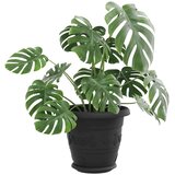  Krožni cvetlični pladenj 24 pcs Črna Ø 17,5 x 2 cm Plastika, (5000207699) | Shoptok.si