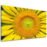  Slike na platnu cveće (moderne slike na platnu) | ePonuda.com