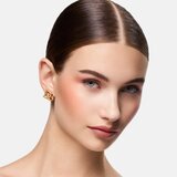 Dolce & Gabbana Classic Cheeks&Eyes Match rumenilo nijansa 01 BUSSFULMAUVE 8 g | shoptok.hr
