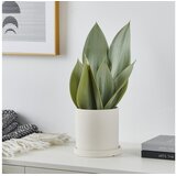 Eglo 428387 - Veštačka biljka u saksiji TOBETSU 41,5x28,5 cm | Eponuda.com