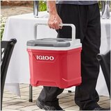 Igloo Latitude 16 – Prenosni trdi hladilnik 15 L / 16 Qt (za 24 pločevink, rdeča) | Shoptok.si