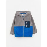 LC Waikiki Hooded Long Sleeve Color Block Fleece Baby Boy Zipper Sweatshirt Cene